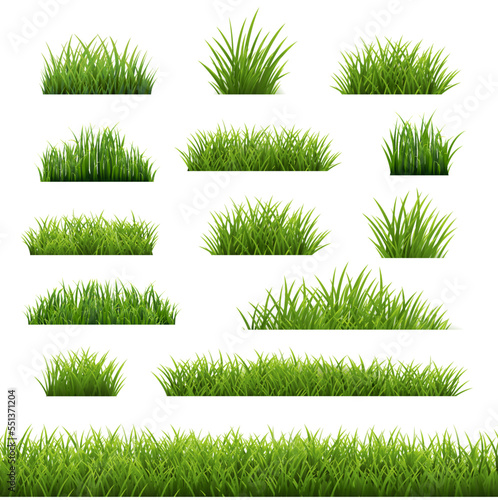 Big Set Green Grass Isolated