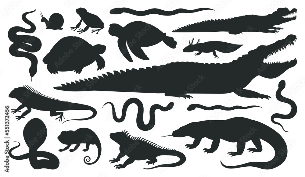 Cartoon reptile and amphibian silhouettes. Wild animals, frog ...