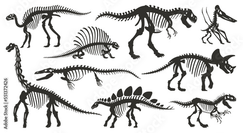 Cartoon dino skeleton silhouettes. Ancient dinosaur fossil bones  jurassic tyrannosaurus  velociraptor  spinosaurus black silhouette flat vector illustration set on white background