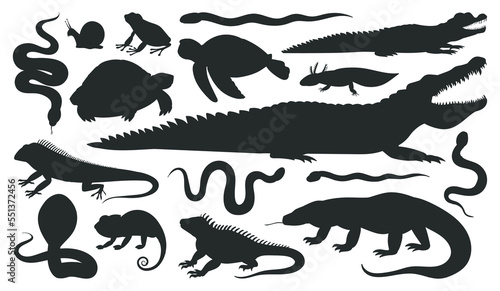 Cartoon reptile and amphibian silhouettes. Wild animals, frog, crocodile, lizard, snake, chameleon and turtle black silhouette, flat vector illustration on white background