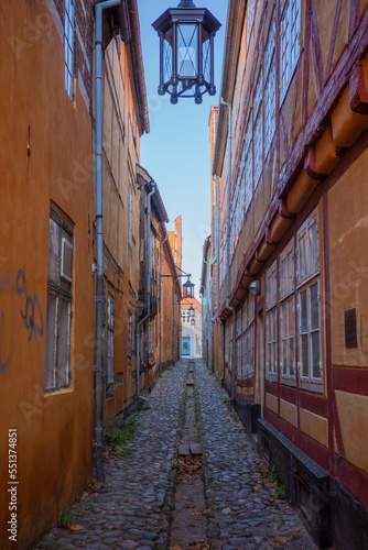 A narrow path between old buildings in Elsinore © Jakob
