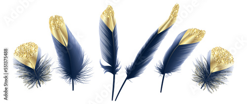 Set Modern abstract art Blue with Golden Feather. Vector illustration.