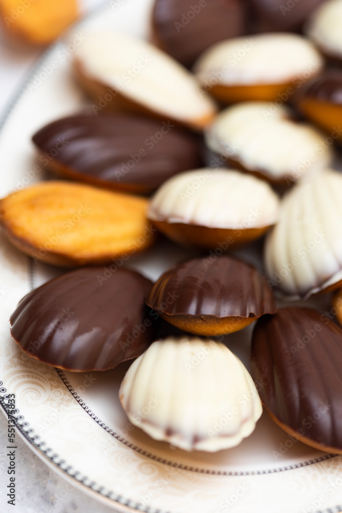 Madeleine biscuits with dark and white chocolate glaze and sea shells on white snow Madeleine biscuits with dark and white chocolate glaze and sea shells on white snow