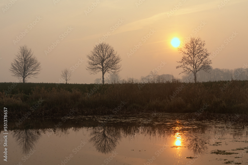 Feld mit 3 Bäumen im Nebel. Feld mit 3 Bäumen im Nebel.