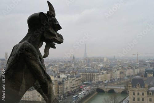 Gargoyle in Notre Dame