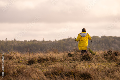 Woman in yellow jacket walking on a windy hill. © Trygve