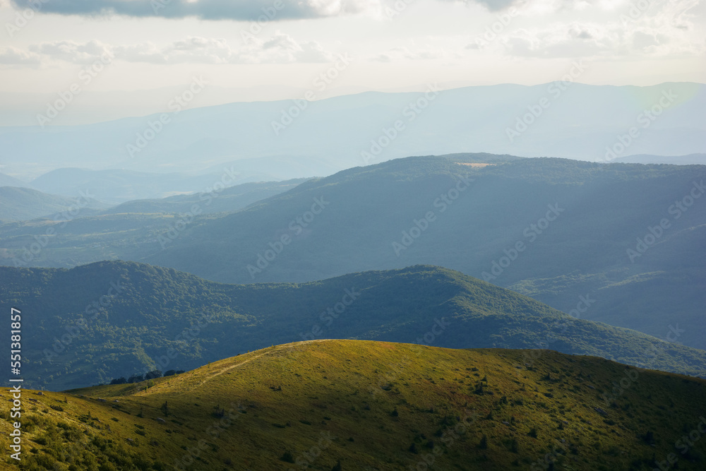 mountainous countryside nature scenery in summer. beautiful views of carpathian landscape on a sunny afternoon mountainous countryside nature scenery in summer. beautiful views of carpathian landscape on a sunny afternoon