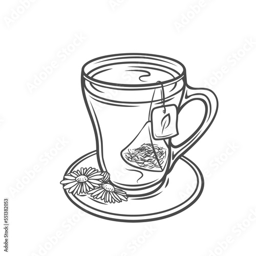 Cup with herbal tea line icon vector illustration. Hand drawn outline glass teacup with tea bag in hot water, organic leaf and aromatic chamomile flowers on saucer, rustic drink for healthy sleep