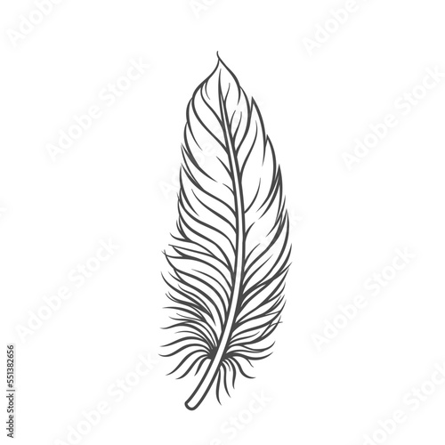 Feather line icon vector illustration. Hand drawn outline silhouette of plume and pen with light weight, lightweight soft feather of pillow, fluff from wings, easy plumelet for bird and angel flight