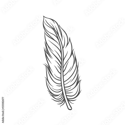 Feather line icon vector illustration. Hand drawn outline angel or bird smooth soft plumage, single fluffy plume and pen for writing or filling pillow, easy furry feather and fluff from wings