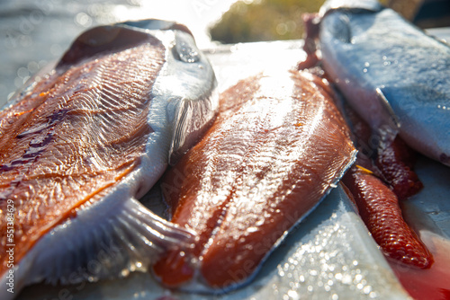 Fresh caught coho salmon fish fillet on a cutting board near a river in Alaska. The sunlight is reflecting on the seafood meat