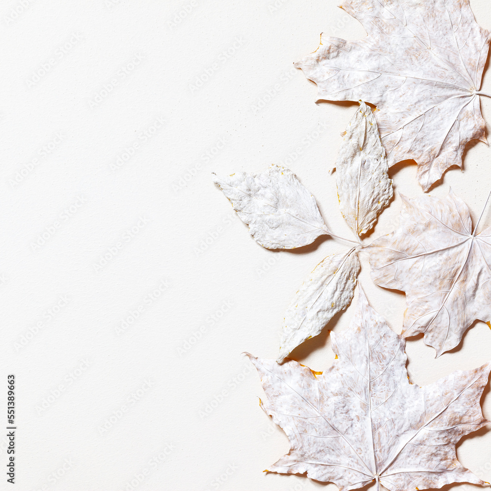 Dry maple leaves and twigs Dry maple leaves and twigs
