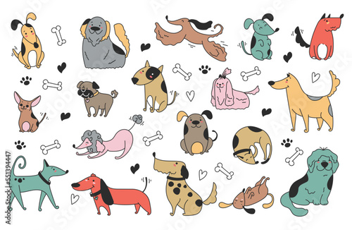 Fototapeta Naklejka Na Ścianę i Meble -  Doodle sketch line art animal dogs puppy characters hand drawn isolated set. Vector graphic design element illustration