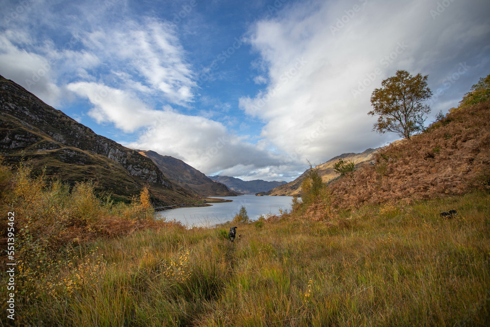 Obraz premium Scottish loch in Autumn