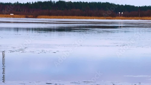 Early winter, freeze-up, ice formation on the northern river. Grease ice (ice fat) is floating downstream, which means that the river will freeze over in a couple of days, fast ice photo