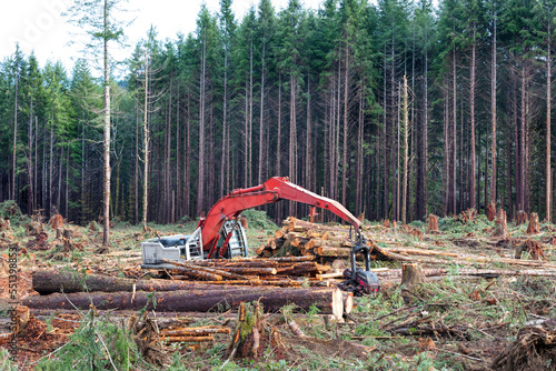 Logging machinery in the forest with cut logs stacked next to the equipment