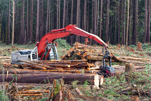 Logging machinery in the forest with cut logs stacked next to the equipment