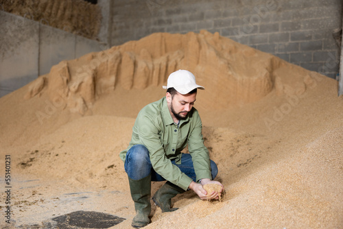 Male farmer squatting at heap of soybean husk and holding handful of it.