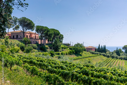 Santa Venerina, Sicily, Italy - July 24, 2020: Italian landscape with olive trees and vineyards, Sicilian countryside architecture, visit of Sicilian vineyards to taste wines