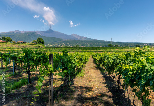 Canvas Print Santa Venerina, Sicily, Italy - July 24, 2020: Sicilian vineyards with eruption of the volcano Etna on Sicilian background, Italy