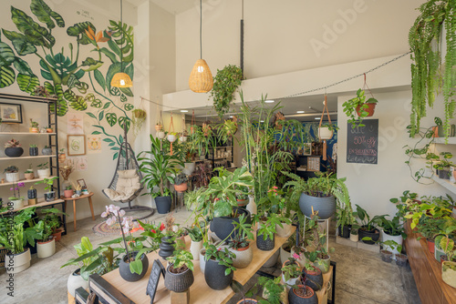 Various potted plants in floral shop
