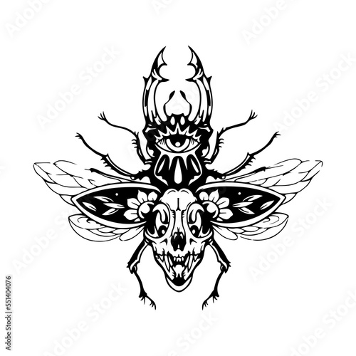 vector illustration of beetle with skull concept