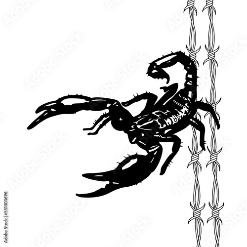 vector illustration of a scorpion with barbed wire