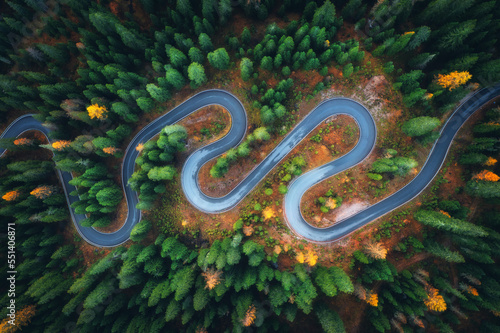 Aerial view of snake road in colorful autumn forest at sunrise. Dolomites, Italy. View from above of winding road in woods. Beautiful landscape with highway, green pine trees in fall. Top view. Nature