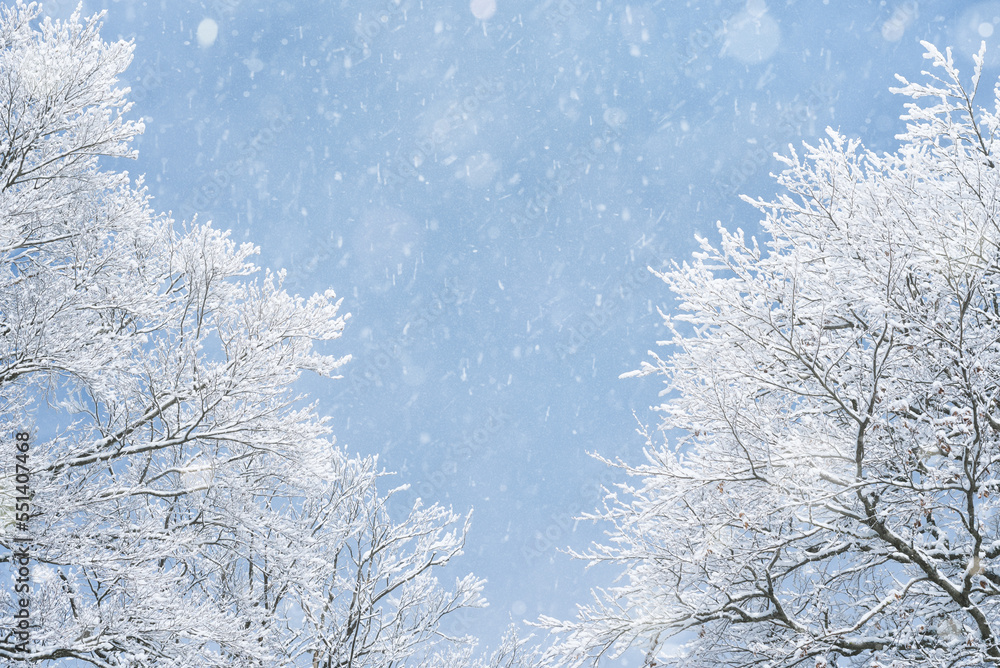 Winter Background with Double Side Border Winter Background with Double Side Border