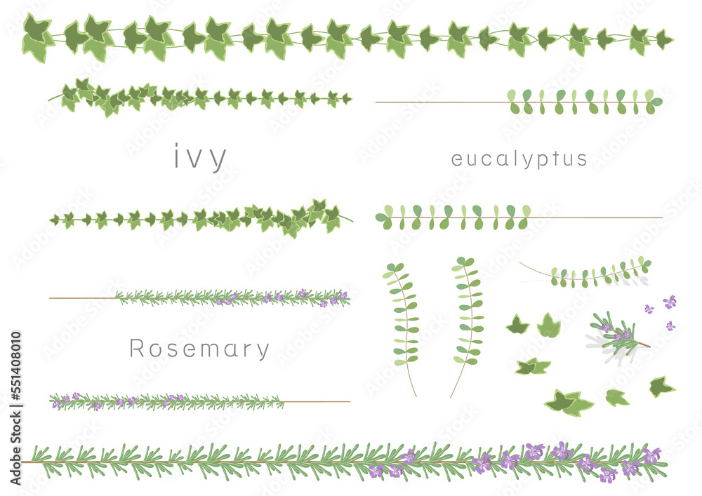 蔦や葉っぱのベクターイラストの飾り罫線セット（アイビー、ユーカリ、ローズマリー）
