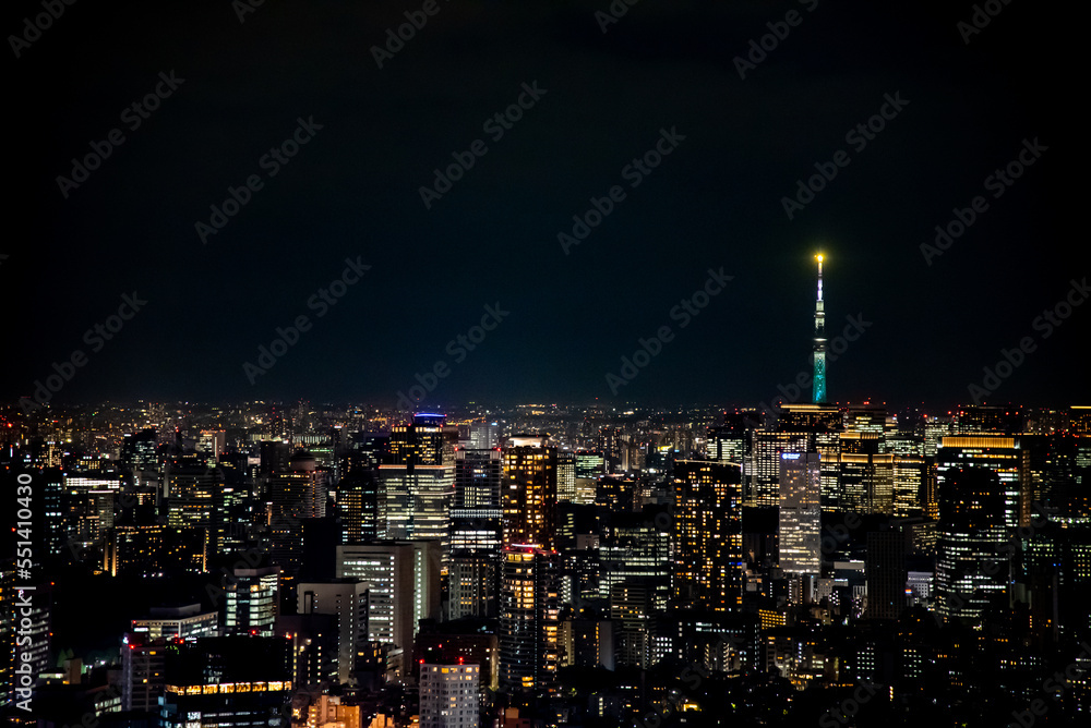 Tokyo skyline at night