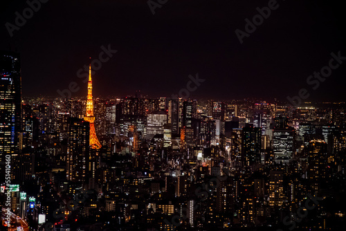 Tokyo Skyline at Night © Samuel