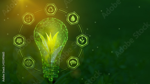 A tree sprout in a symbolic light bulb surrounded by symbols of green energy. Renewable energy sources, sustainable resources. Low-poly frame design photo
