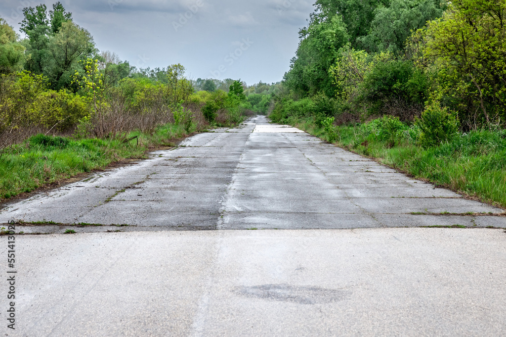 Panorama of an abandoned road in Europe, with damaed asphalt and cracked pavement, in a forest regaining control of the path...