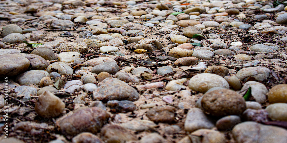 Trail of oval and irregular stones, under sand, in addition to a few leaves and small broken branches. With shades of brown, beige, yellow, green, black, orange and gray. Trail of oval and irregular stones, under sand, in addition to a few leaves and small broken branches. With shades of brown, beige, yellow, green, black, orange and gray.