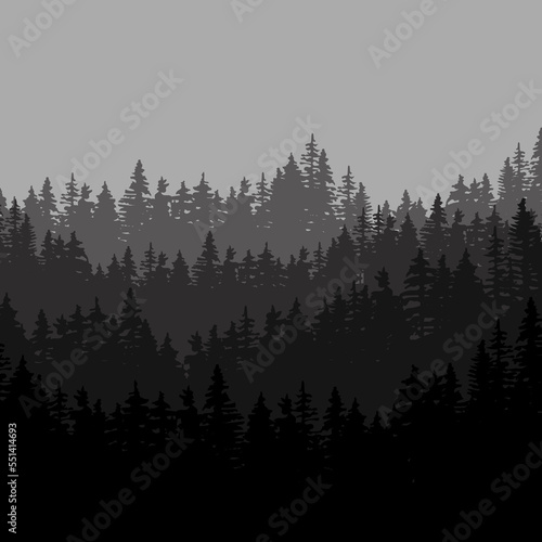 Black night forest. Dark background. Vector illustration. Stock image. 