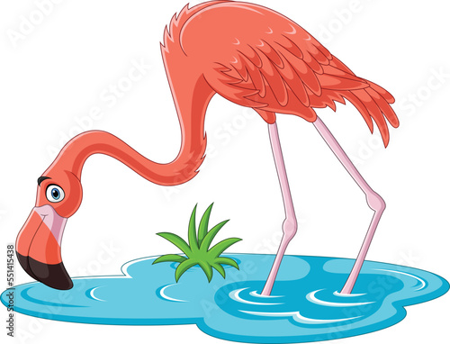 Cartoon flamingo on white background