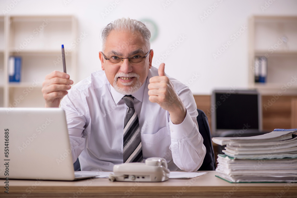 © Elnur - Old male boss employee working in the office