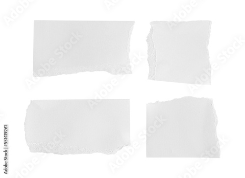 Wallpaper Mural Set of White ripped piece of paper isolated on transparent background PNG file Torontodigital.ca