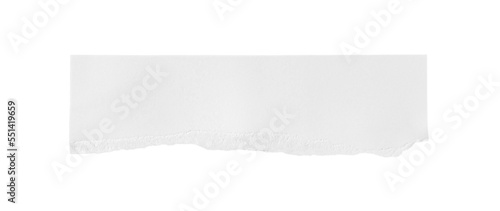 Wallpaper Mural White ripped piece of paper isolated on transparent background PNG file Torontodigital.ca