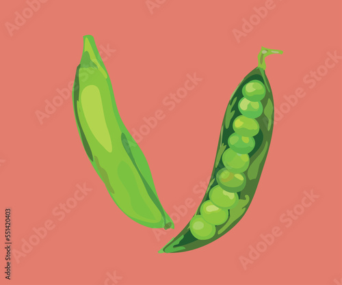 peruvian peas illustration