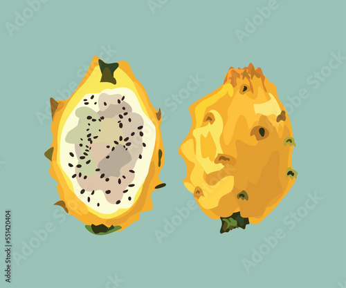 yellow dragon fruit vector illustration