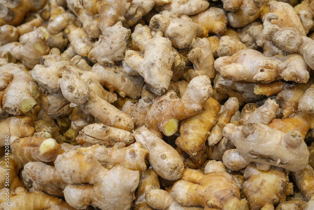 fresh organic ginger in pile as food background fresh organic ginger in pile as food background