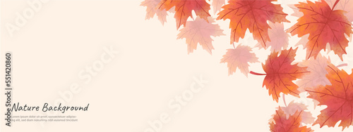 autumn Leaves nature background design vector