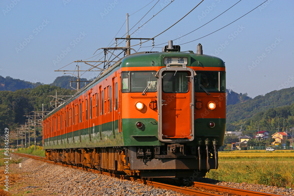 Naklejka premium 岩舟～大平下間を走行する列車