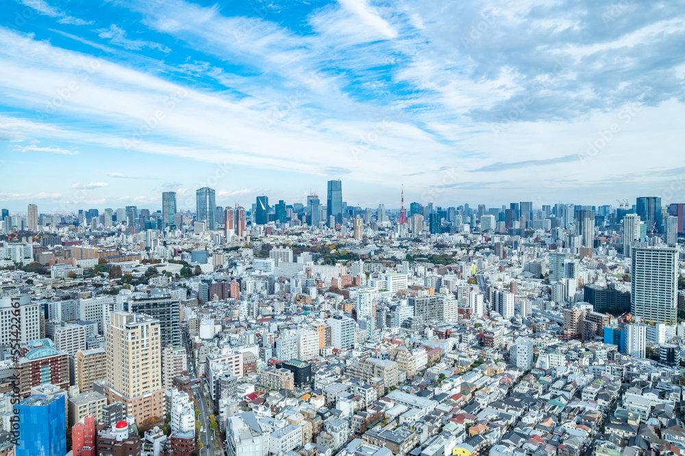 Fototapeta premium 東京恵比寿からの都市風景