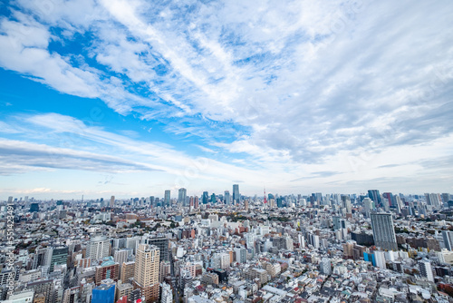 日本の首都東京の都市風景