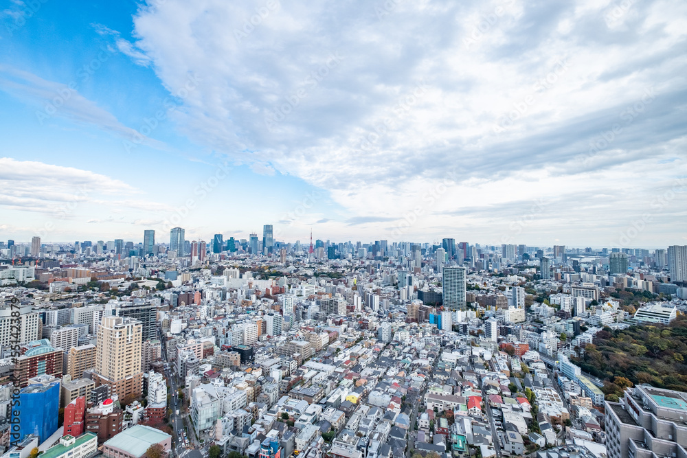 Obraz premium 日本の首都東京の都市風景