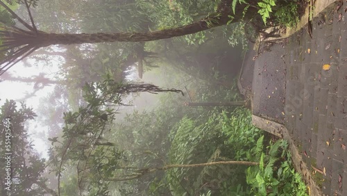 Rising from tropical jungle valley with fog revealing Bali 