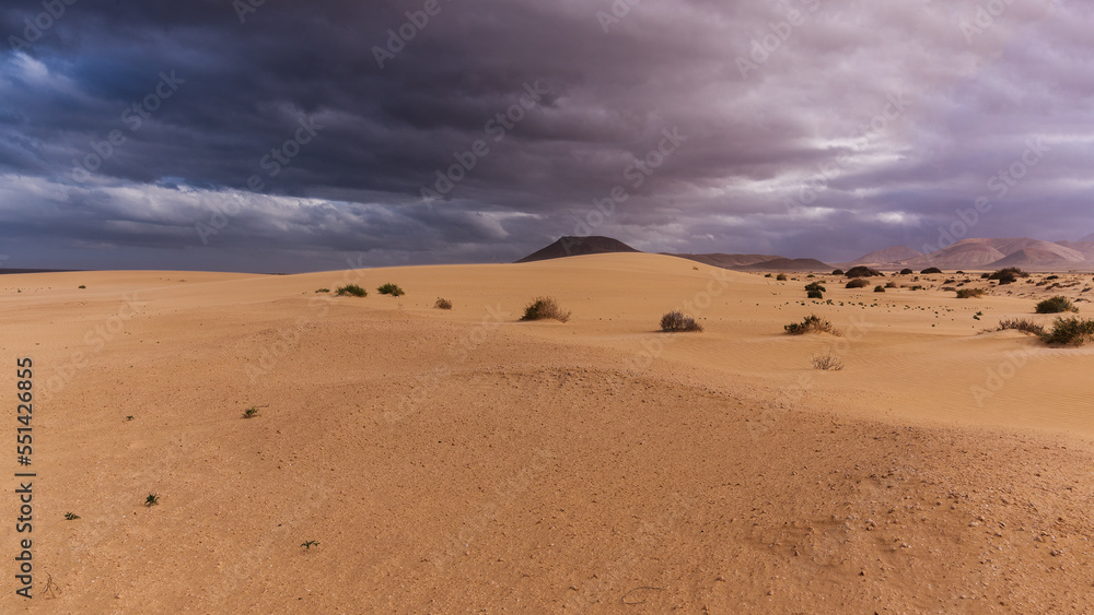 Nature reserve Corralejo with dark volcano in distance behind sand dunes and occasional desert plants, Canary Islands Nature reserve Corralejo with dark volcano in distance behind sand dunes and occasional desert plants, Canary Islands
